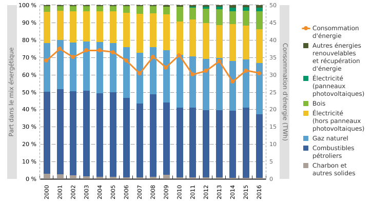 Consommation d'énergie* du secteur résidentiel en Wallonie, par vecteur